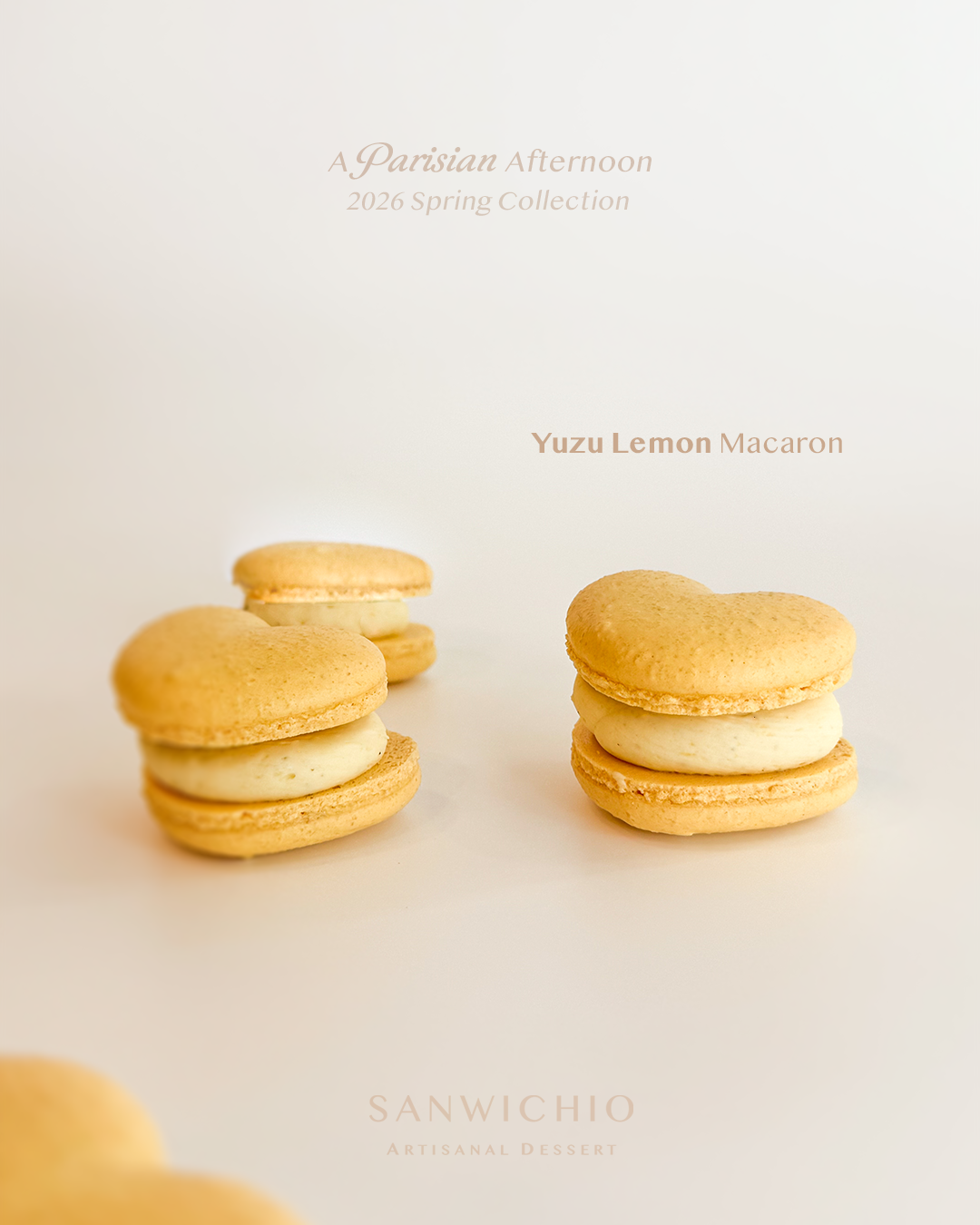 Macaron Box of 6 - Spring Collection 🌸🌷🌼
