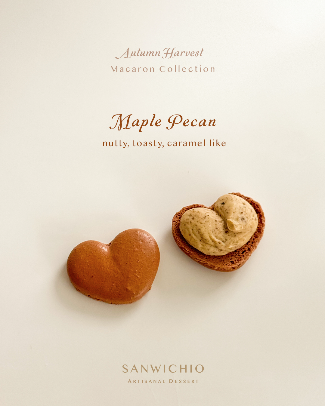 Macaron Box of 6 — Autumn Harvest