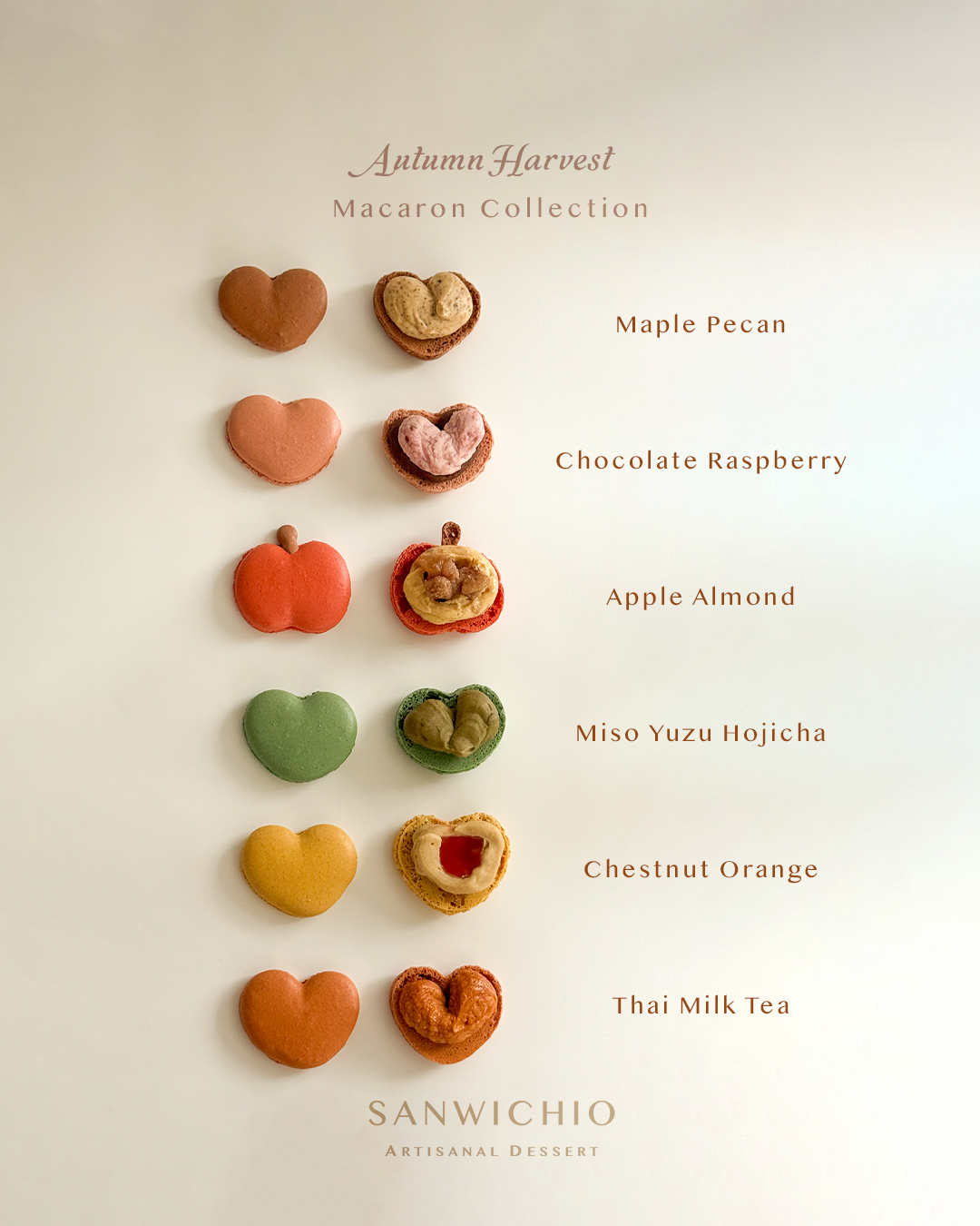 Macaron Box of 6 — Autumn Harvest