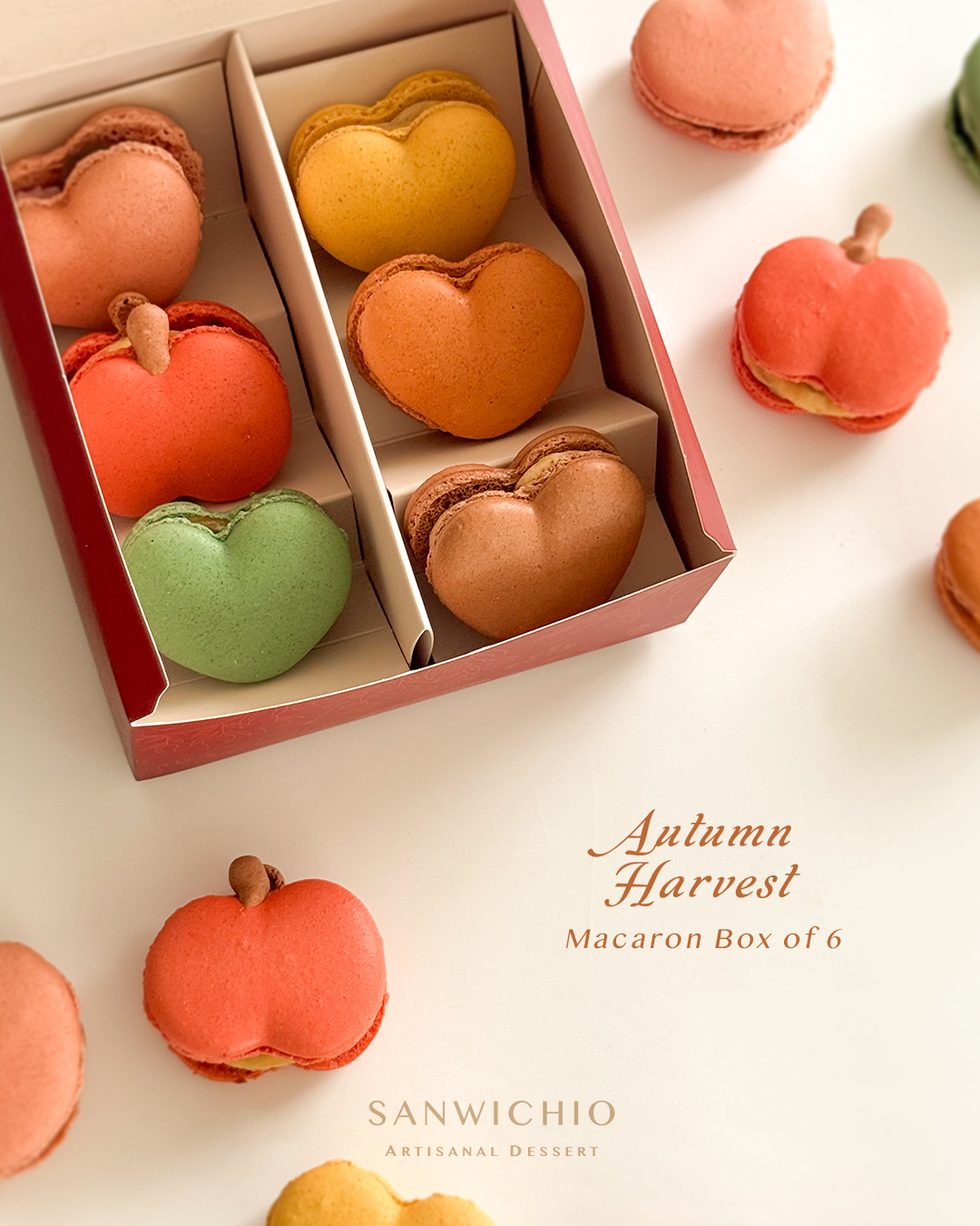 Macaron Box of 6 — Autumn Harvest