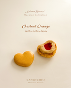 Macaron Box of 6 — Autumn Harvest
