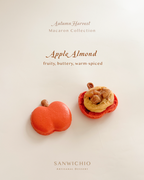 Macaron Box of 6 — Autumn Harvest