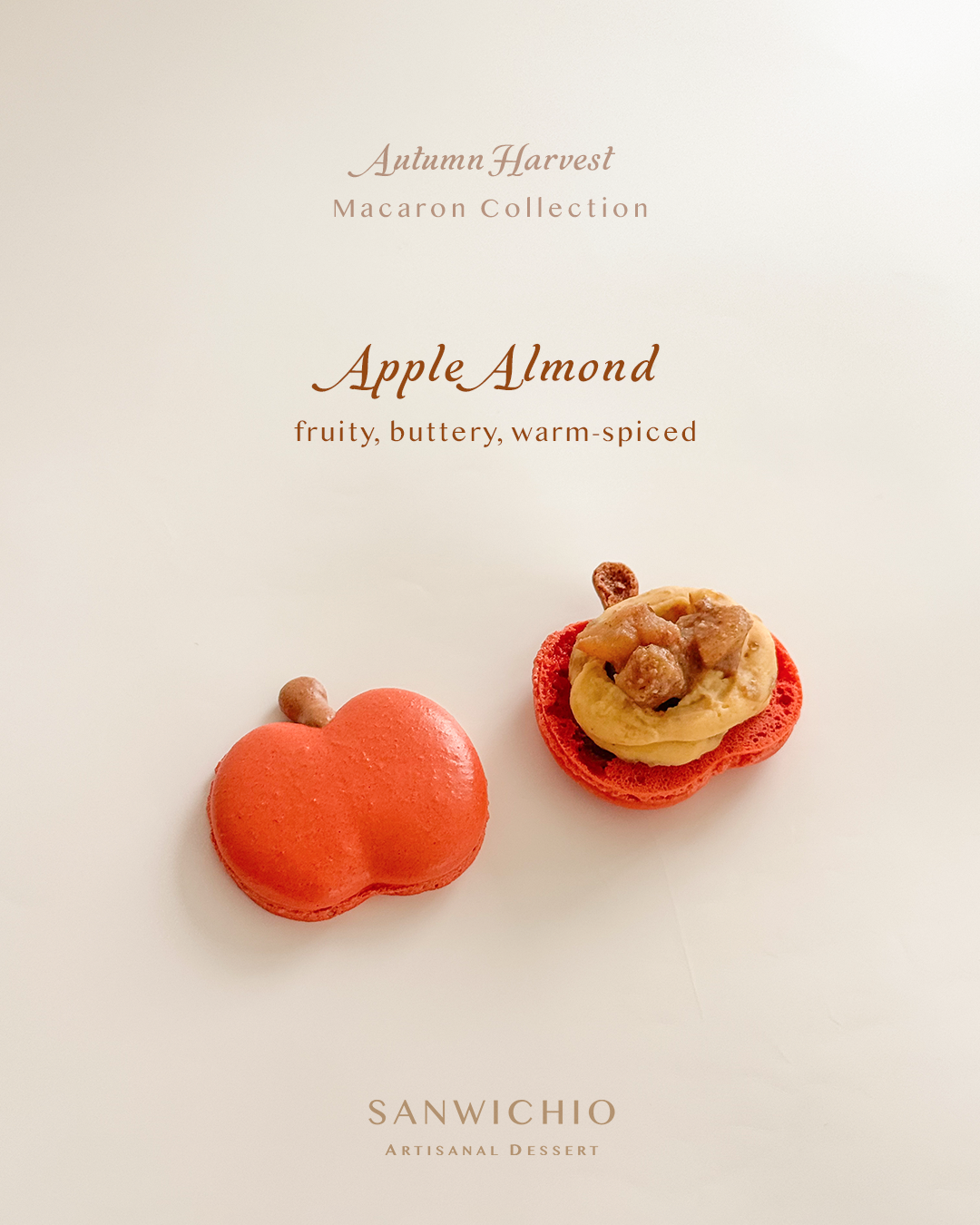 Macaron Box of 6 — Autumn Harvest