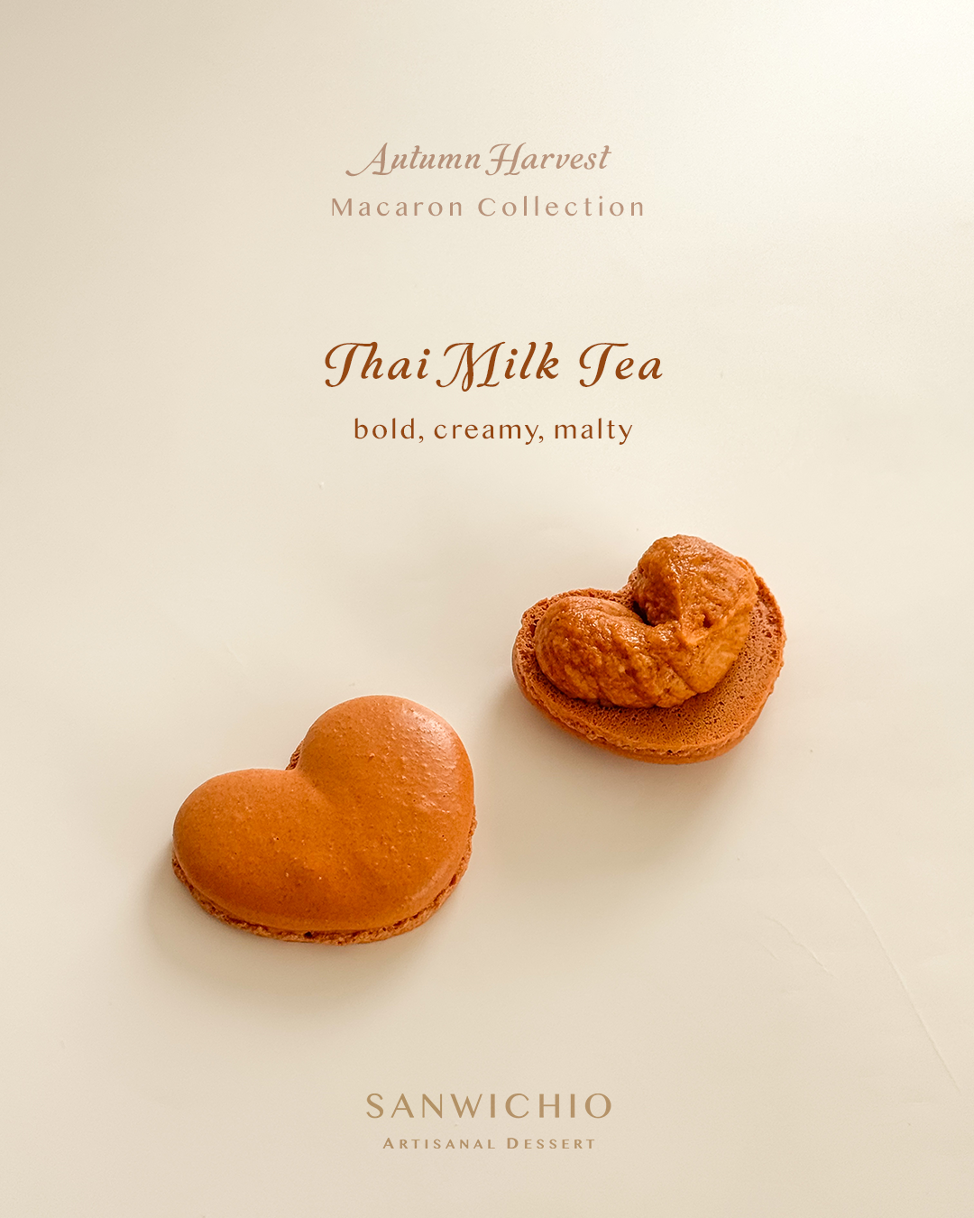 Macaron Box of 6 — Autumn Harvest