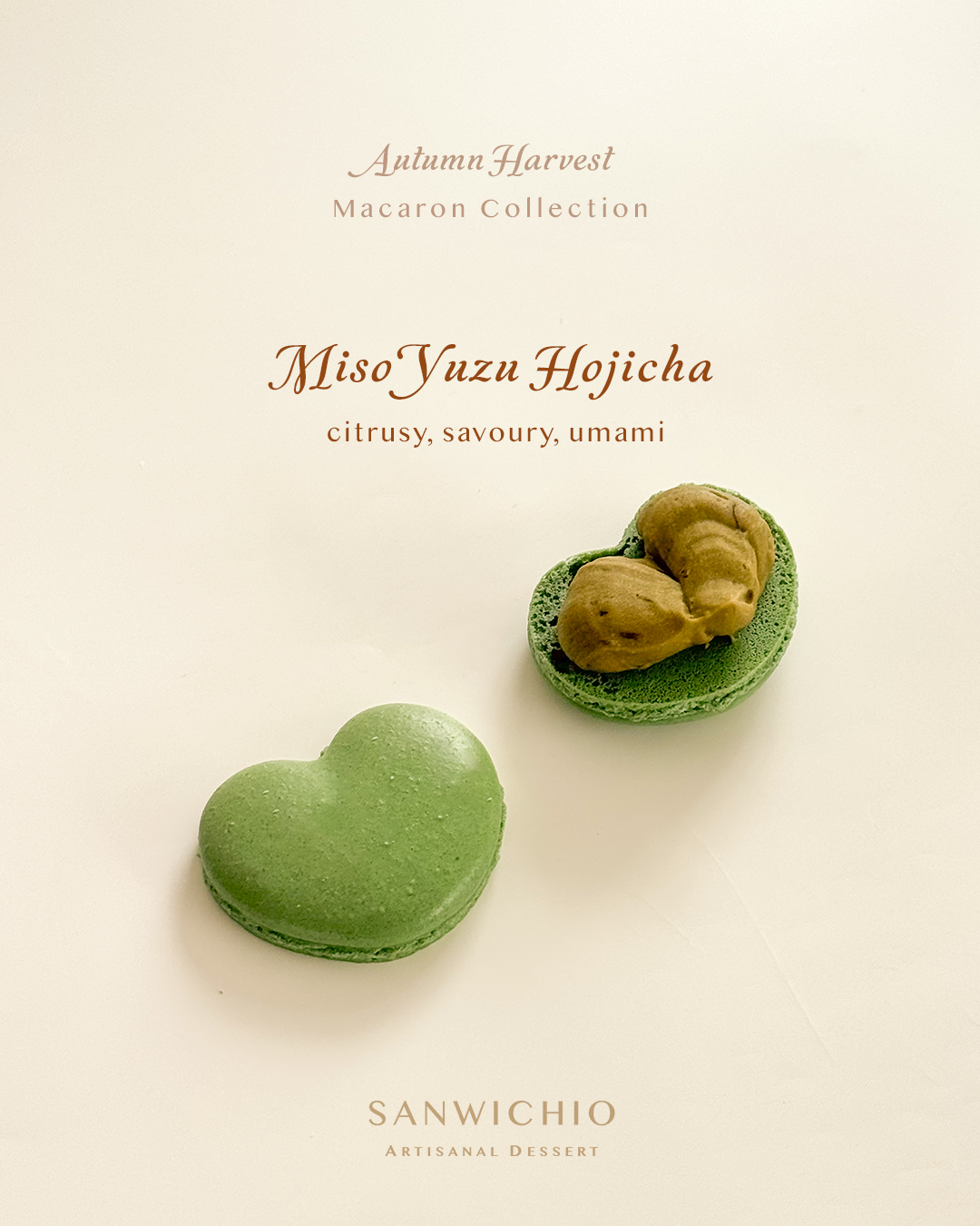 Macaron Box of 6 — Autumn Harvest