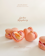 Macaron Box of 6 — Summer Collection