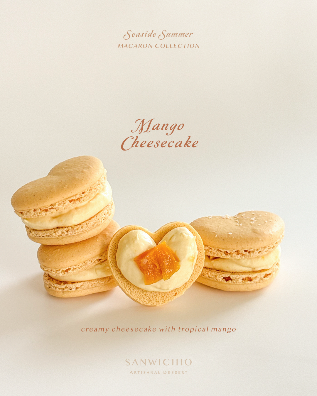 Macaron Box of 6 — Summer Collection